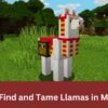 How to Find and Tame Llamas in Minecraft
