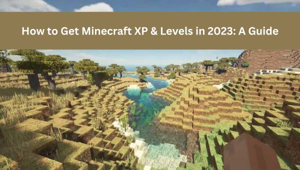 Get XP & Levels in Minecraft